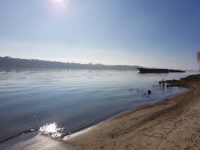 Comentarii opinii despre Viza Bisztró és Vendégház