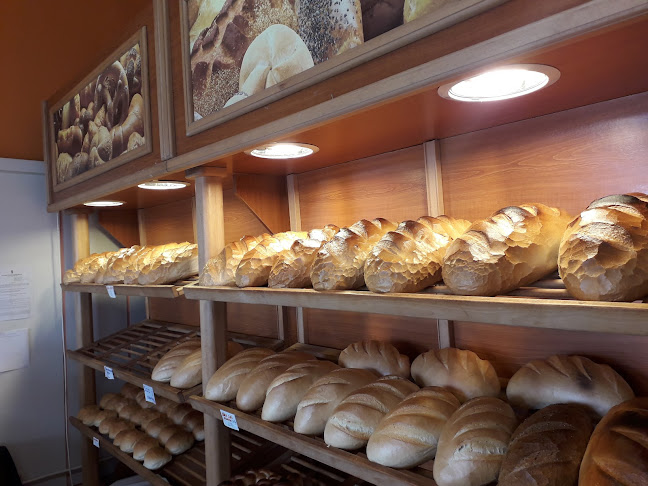 Europa Pékség - Vendéglátás