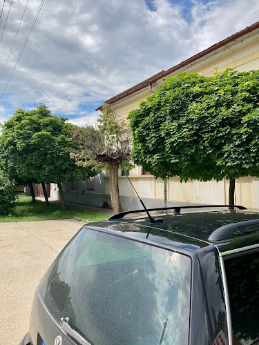 Négy Muskétás Vendéglő - Vendéglátás