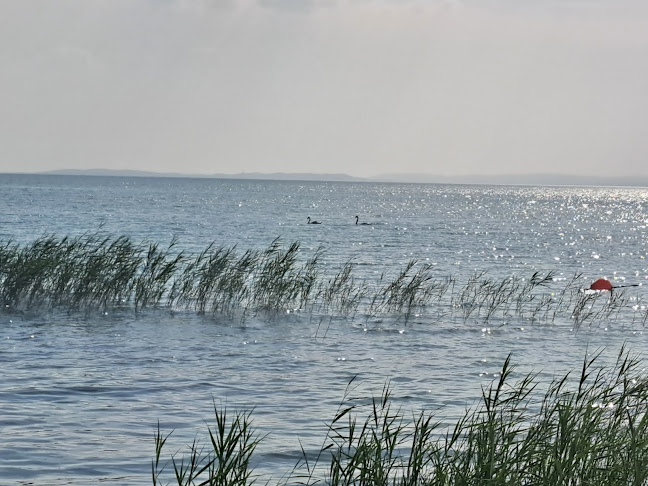 BoroZoli Strandbüféje - Vendéglátás