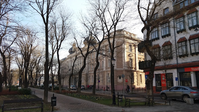 Comentarii opinii despre Rose'n Night Bar - panzió és bár, exkluzív bár, medence és szauna