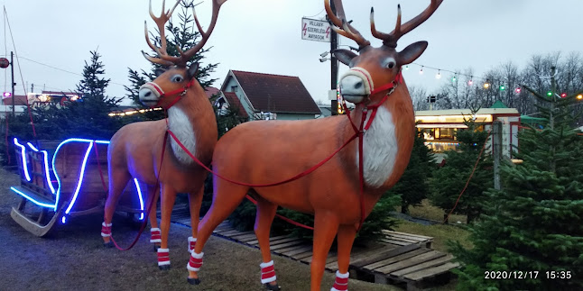 Comentarii opinii despre Kiss-Bereczki Kürtőskalács Hajdúböszörmény