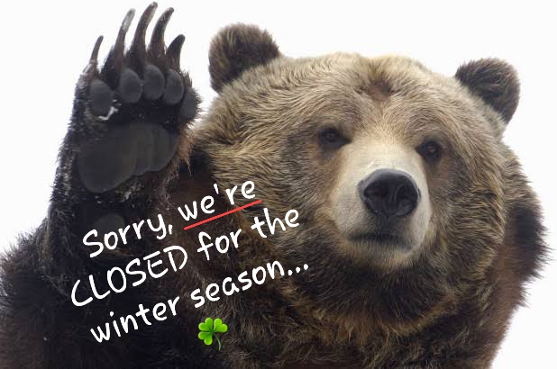 Paddy's Pasta & Sandwiches - GasztroBár - Vendéglátás