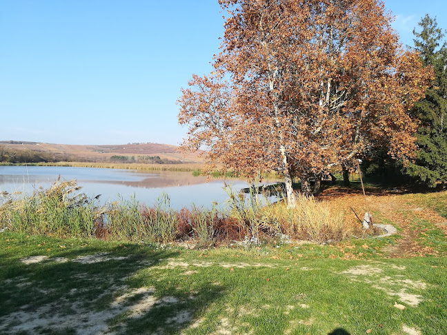 Comentarii opinii despre Bortó Italozó