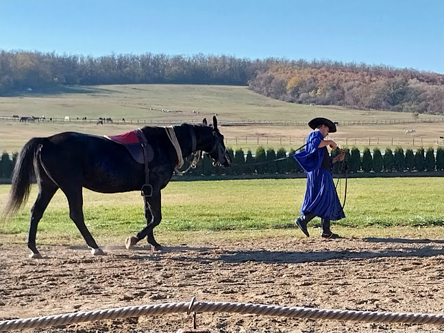 Domony, GPS: Sz.: É47.62949 H.: K19.40773, Fenyő utca 47., 2182