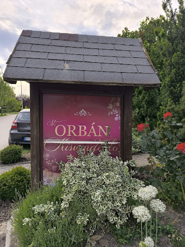 Comentarii opinii despre Szent Orbán Kisvendéglő