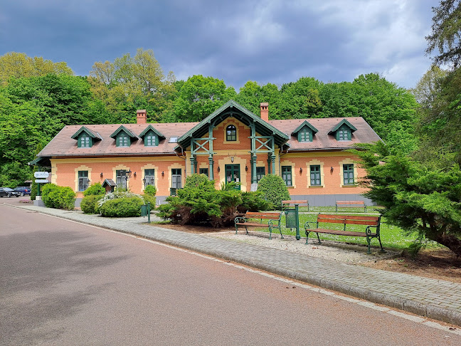 Comentarii opinii despre St. Hubertus Panzió & Étterem