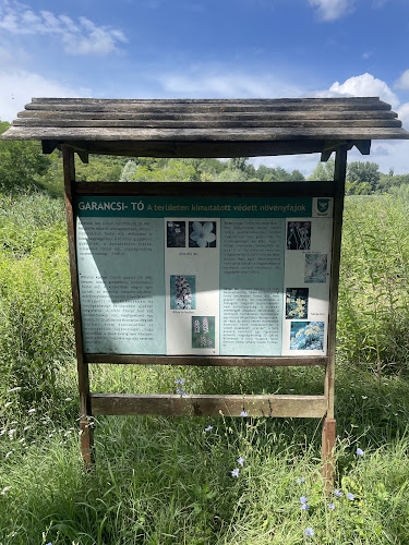 Üvegtigris, a büfé - Vendéglátás