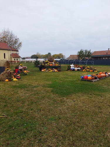 Kömpöc, Petőfi Sándor u. 4, 6134