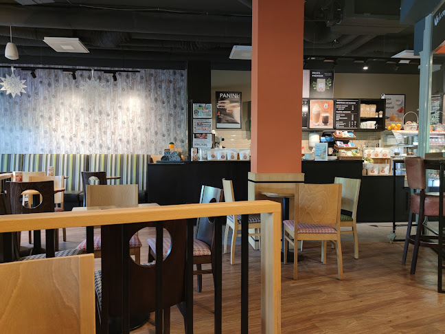 Yellow Flow Kft - Vendéglátás