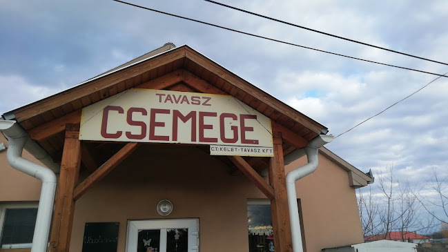 Tavasz Söröző és horgászbolt