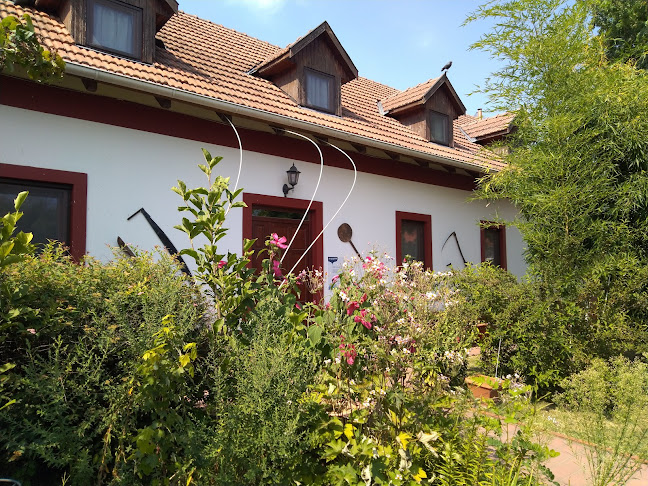 Comentarii opinii despre Régi Csárda Panzió