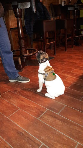 Vác, Deákvári főút 32, 2600