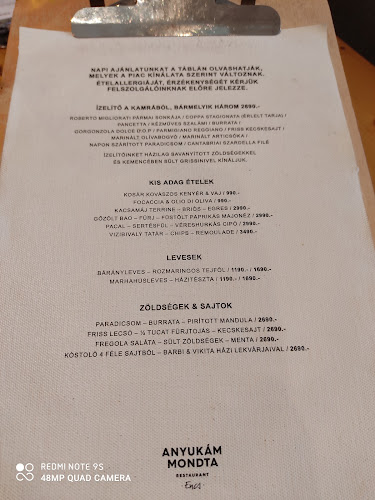 Opinii despre Anyukám Mondta în Encs - Vendéglátás