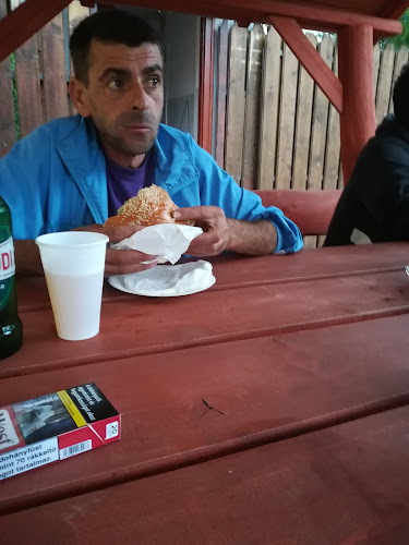 Sasfészek Falatozó - Tiszasas