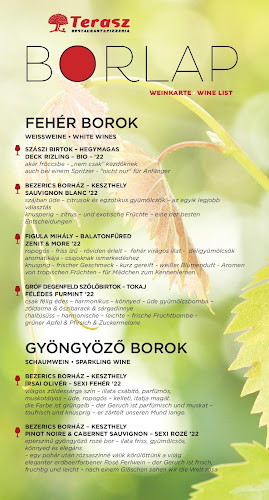 Terasz Étterem - Vonyarcvashegy