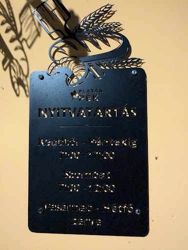 Tata, Hajdú u. 38, 2890