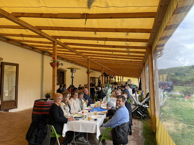 Comentarii opinii despre Toldi Rendezvényház Étterem és Vándor Panzió