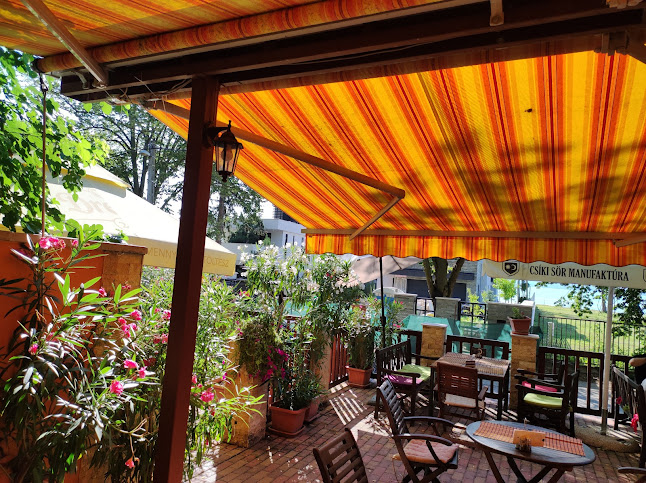 Opinii despre Világosi Étterem Pizzéria în Balatonvilágos - Vendéglátás