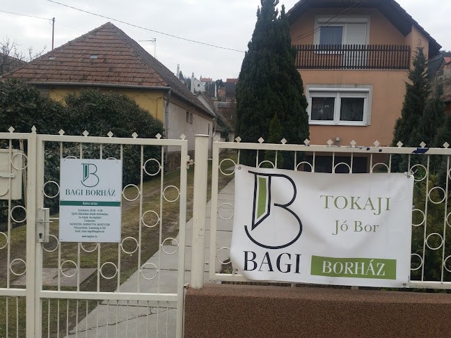 Comentarii opinii despre Bagi Borház