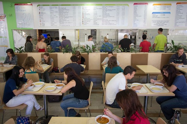 Hóbiárt pizzéria és étterem - Vendéglátás