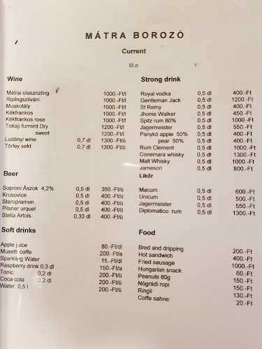Opinii despre Mátra Borozó în Budapest - Vendéglátás