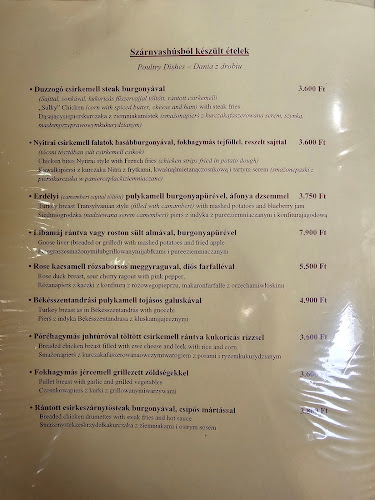 Opinii despre Rákóczi Pince Étterem în Miskolc - Vendéglátás