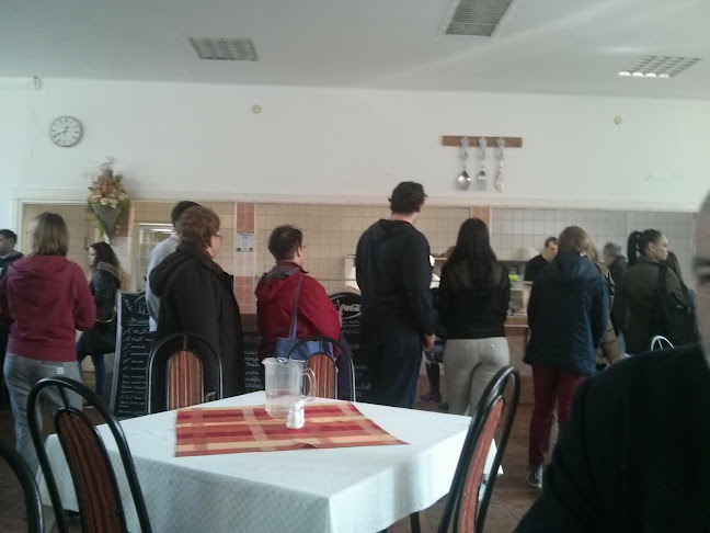 Vándorsólyom kFT - Hódmezővásárhely