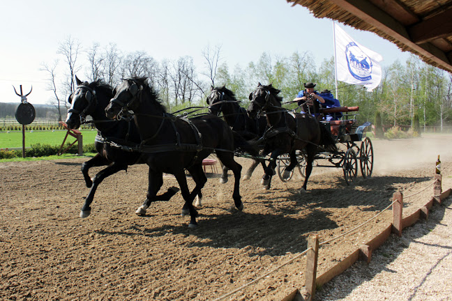 Lázár Lovaspark