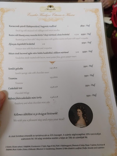 Opinii despre Erzsébet Királyné Étterem és Kávézó în Gödöllő - Vendéglátás