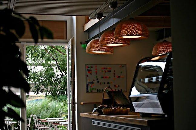 Comentarii opinii despre bubō