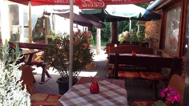 Comentarii opinii despre Club Cocoon