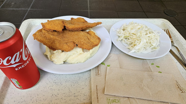 Szeged, József Attila sgrt. 73, 6723