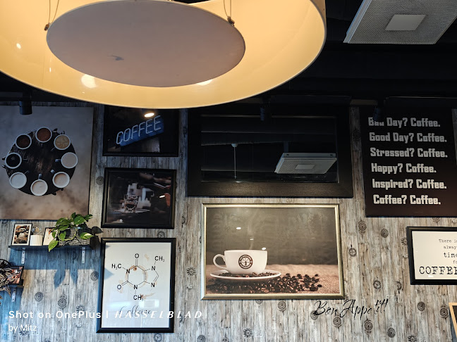 Yellow Flow Kft - Vendéglátás