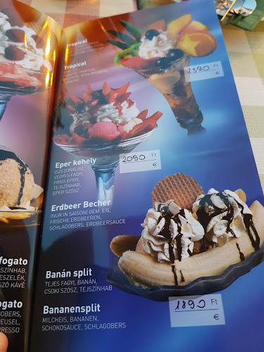 Comentarii opinii despre Pannonhalmi Borterasz és Borbár