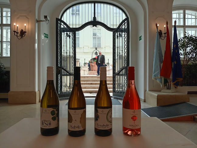 Comentarii opinii despre PINO PINCE