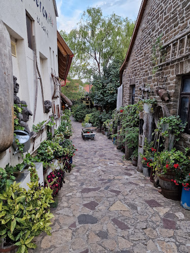 Opinii despre Régi Idők Udvara Skanzen és Étterem în Tihany - Vendéglátás