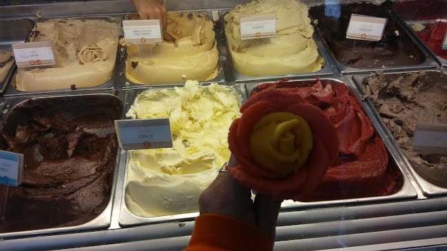 Gelarto Bistro - Vendéglátás