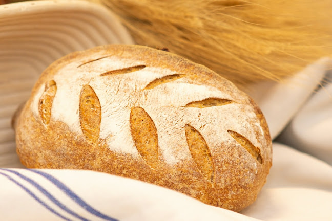 Comentarii opinii despre Schäffer & Salzl / Külvárosi pék