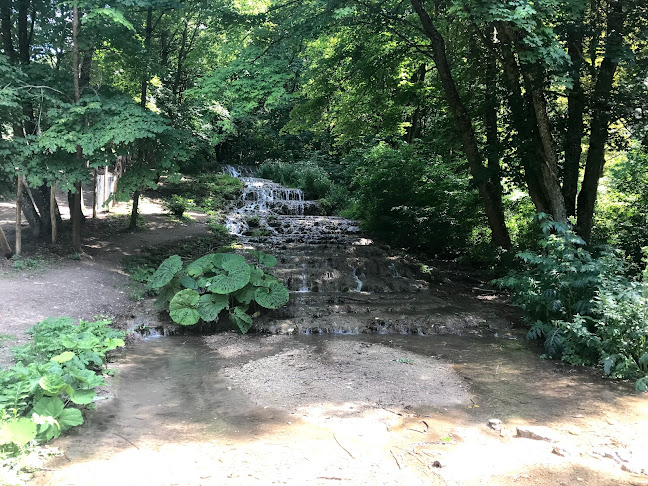 Opinii despre Fenyő Vendéglő în Szilvásvárad - Vendéglátás