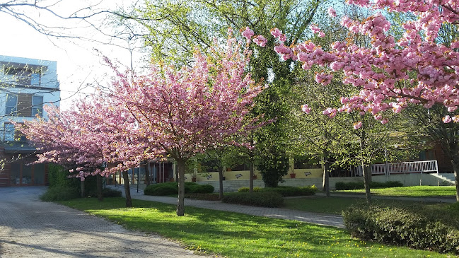Kis Molo Kávézó Étkezde - Vendéglátás