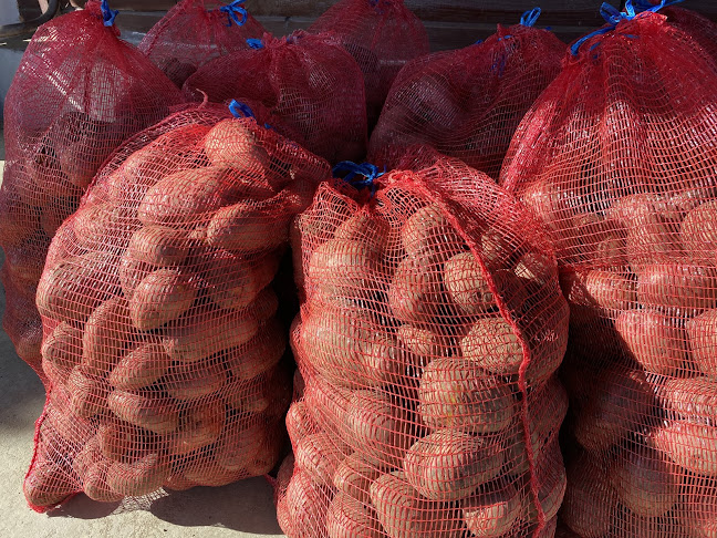 Nyíregyháza, Meggyfa u. 68, 4400