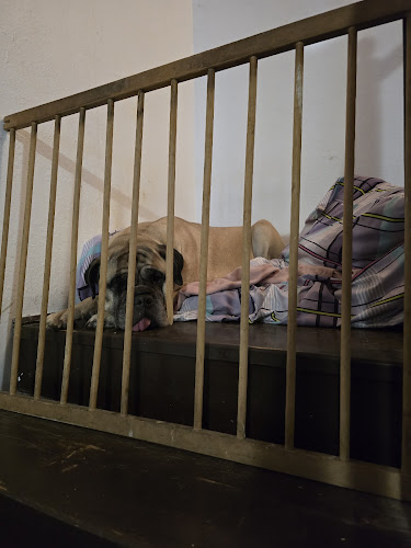 Comentarii opinii despre Bárczy Fogadó Restaurant