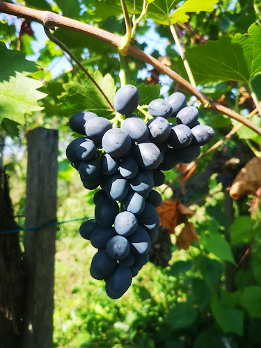 Bicske, 6-os dűlő, 2060