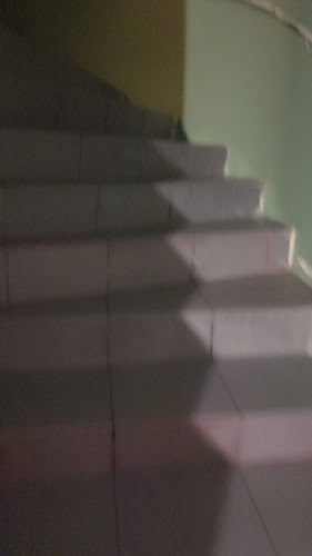 Comentarii opinii despre Lima Pub and Hostel