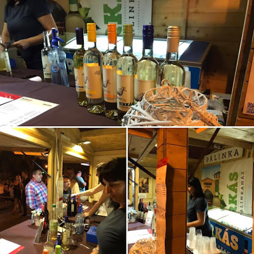 Opinii despre Birkás Bor- Pezsgőház în Izsák - Vendéglátás