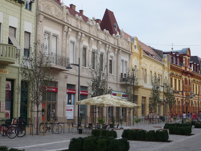 Comentarii opinii despre Flamand Falat pékáruszaküzlet