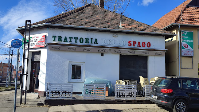 Comentarii opinii despre Trattoria dello Spago