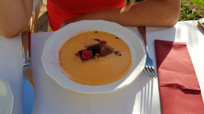 Comentarii opinii despre Fiastyúk Udvarház - étterem, szállás, biofarm