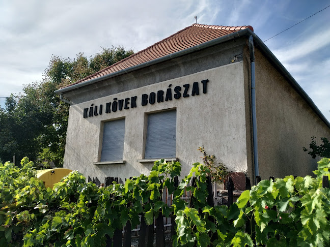 Káli Kövek Borászat